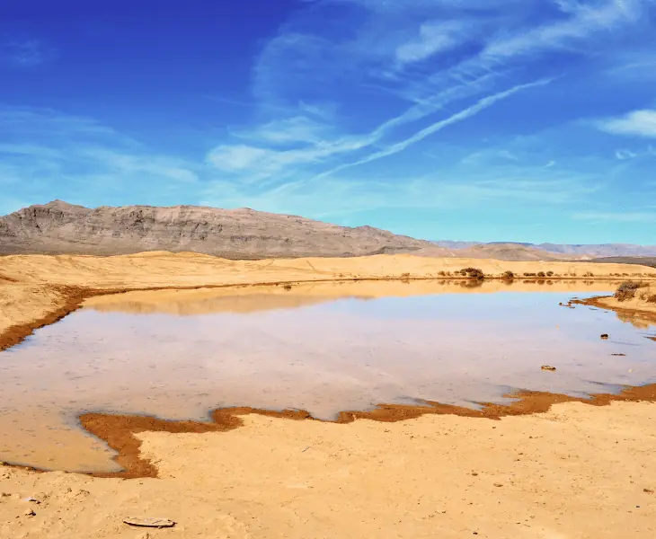 water conservation and metabolic efficiency
