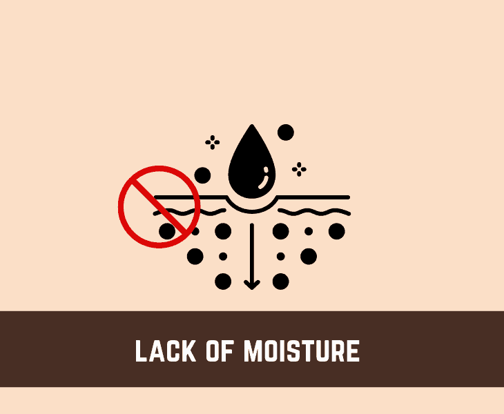 lack of moisture