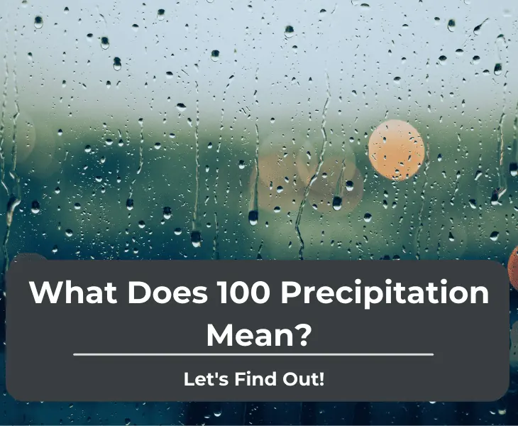 what does 100 precipitation mean