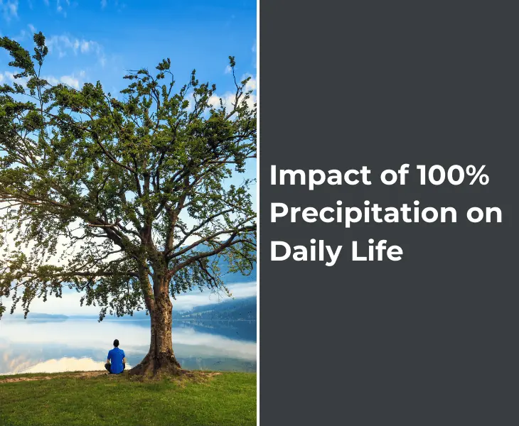 impact of 100% precipitation on daily life