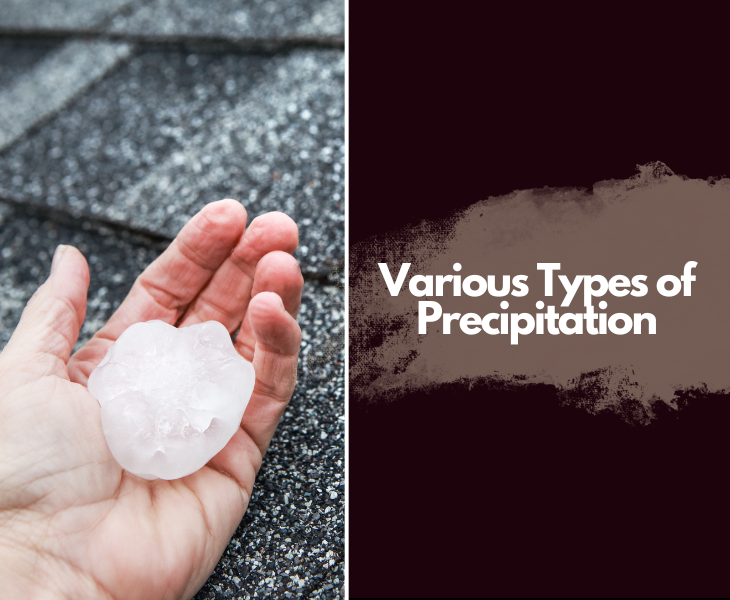 various types of precipitation
