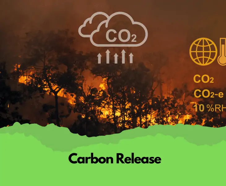 carbon release