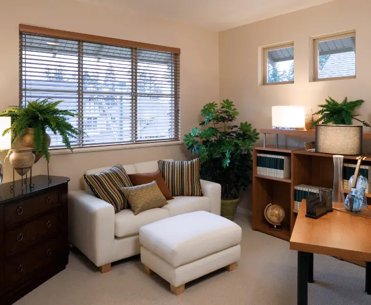 natural ways to decrease room humidity