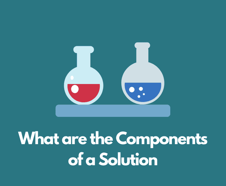 what are the components of a solution
