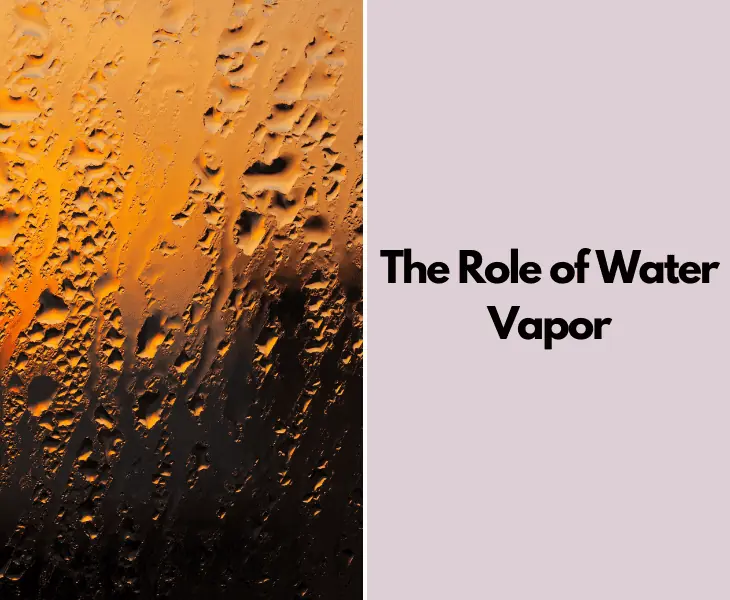 the role of water vapor