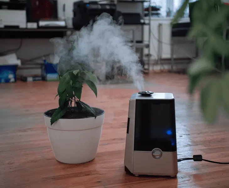 air purifier assist in smoke reduction