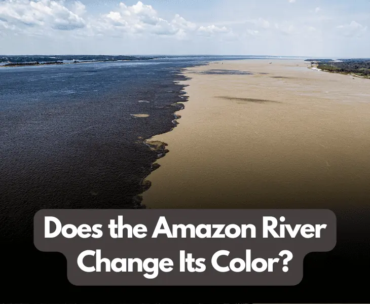 does the amazon river change its color
