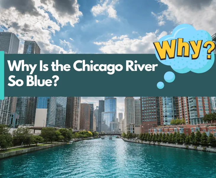 why is the chicago river so blue