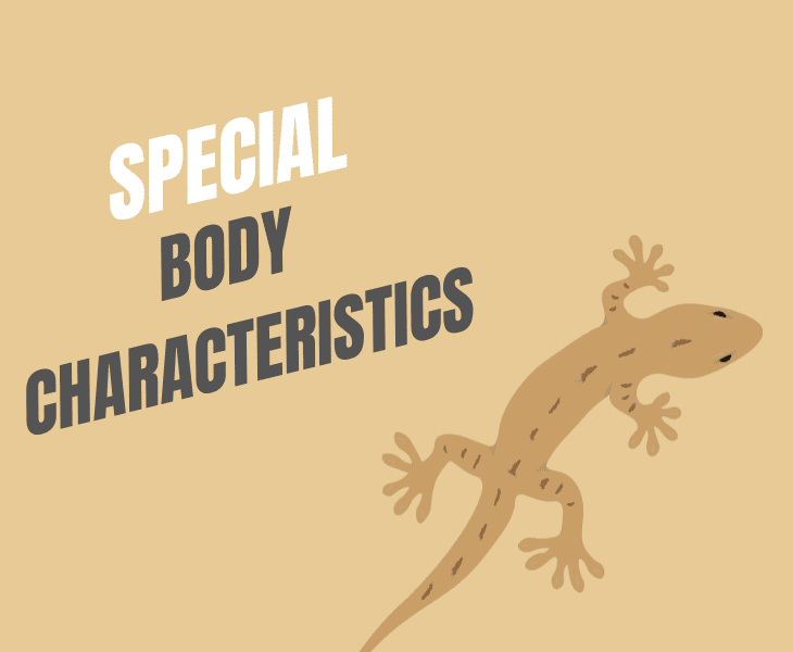 special body characteristics