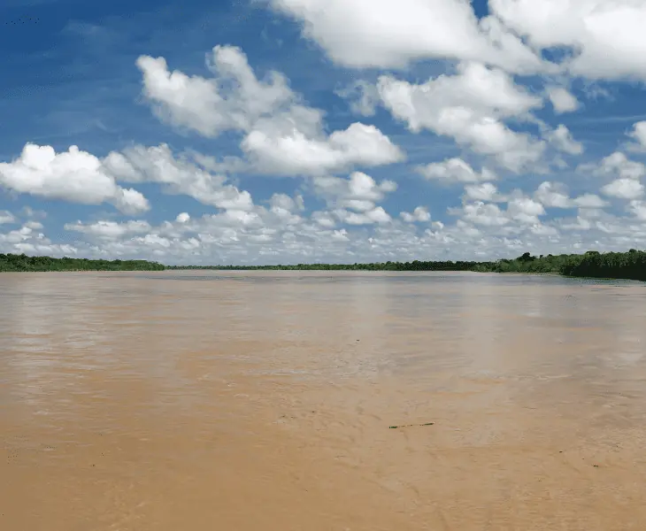 what causes the amazon river's brown coloration