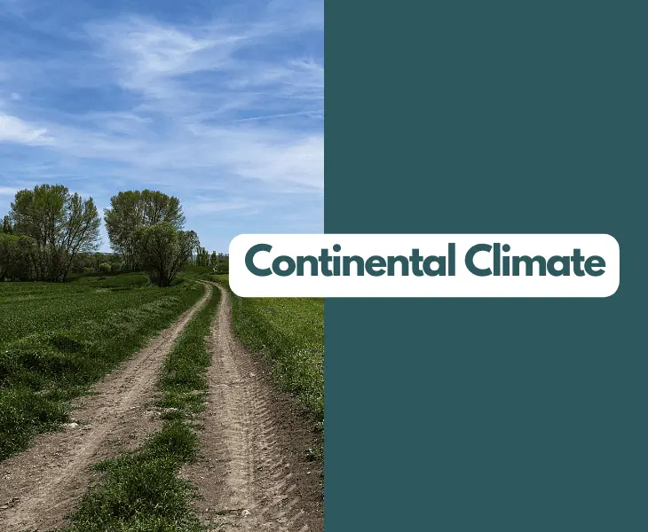 continental climate