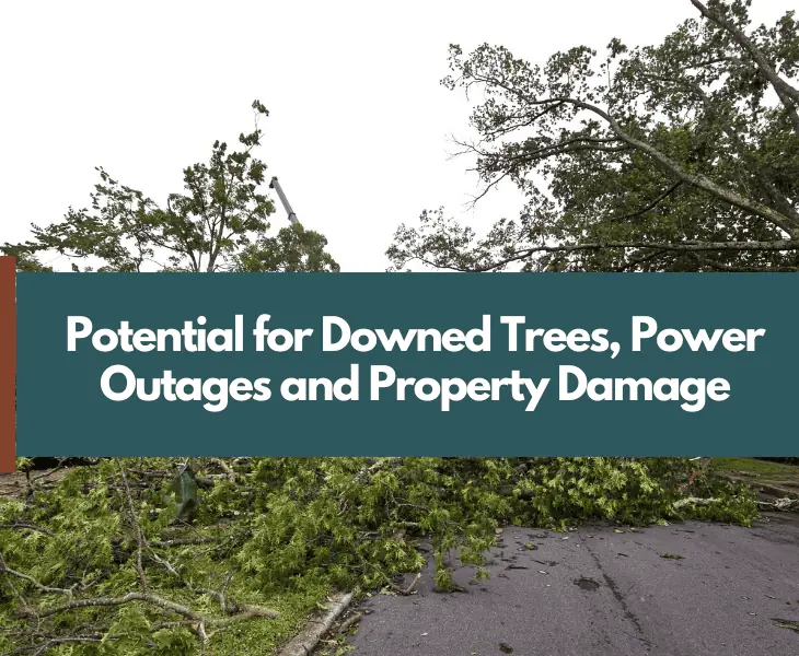 potential for storm damage