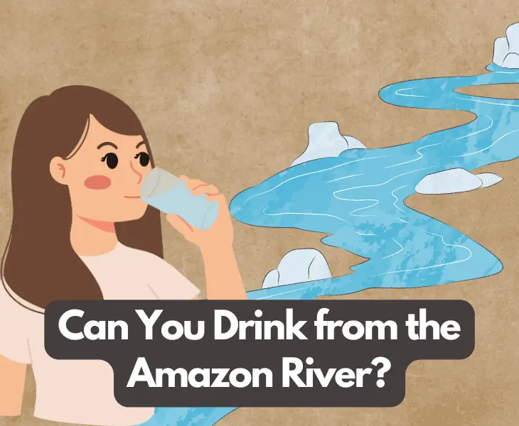 can you drink from the amazon river
