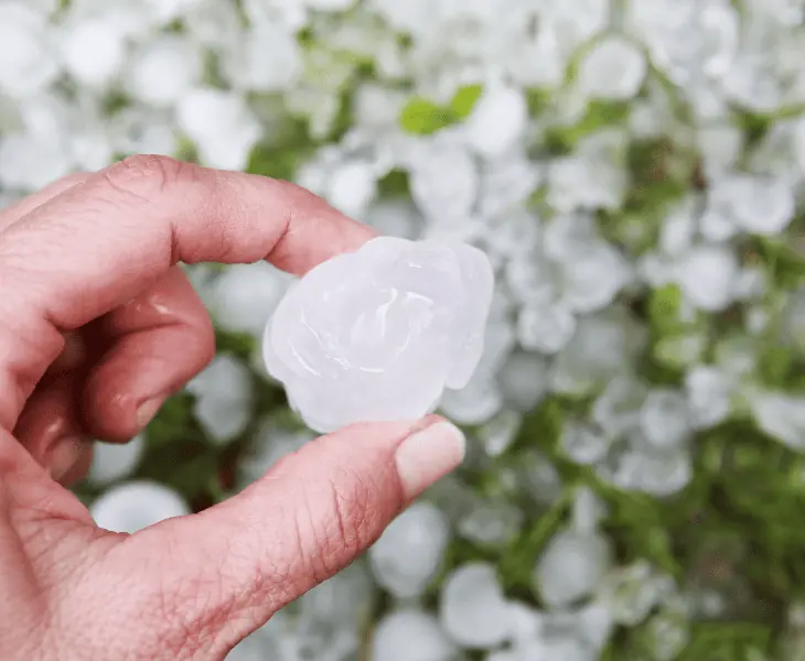 is it safe to eat hail