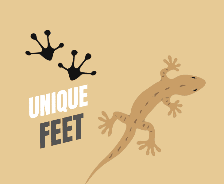 unique feet