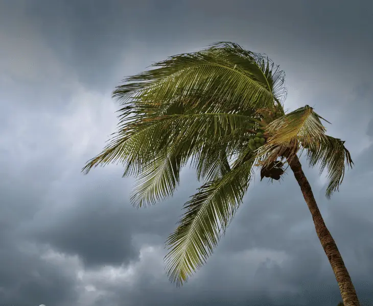risks to outdoor activities and safety precautions