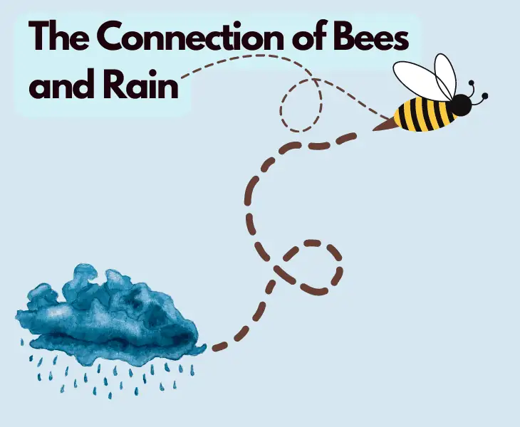 the connection of bees and rain
