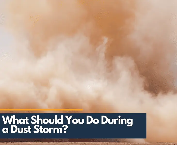safety during dust storms