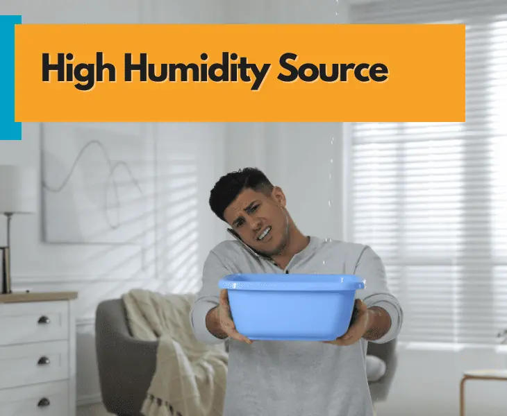 high humidity source