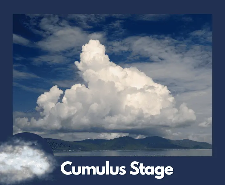cumulus stage