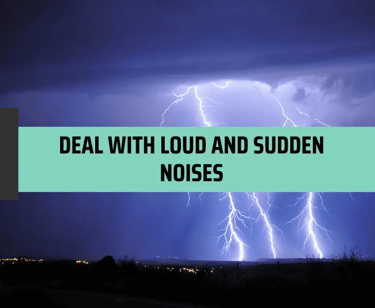 deal with loud and sudden noises