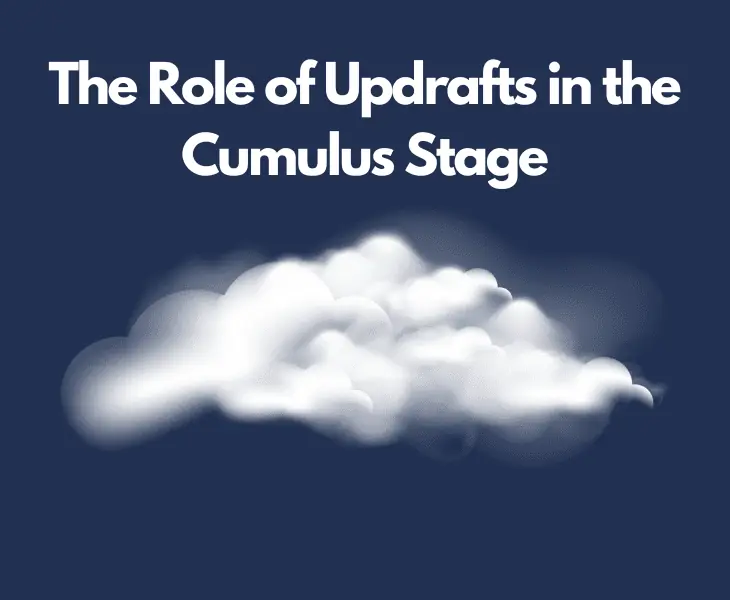 role of updrafts in the cumulus stage