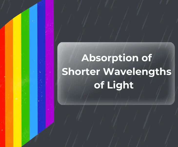 absorption of shorter wavelengths of light