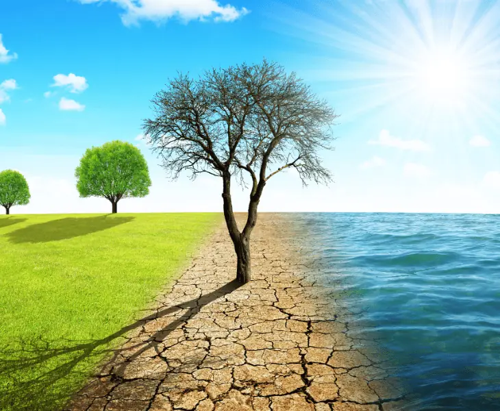 changing weather patterns