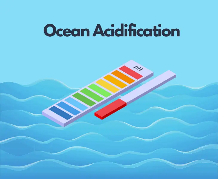 ocean acidification