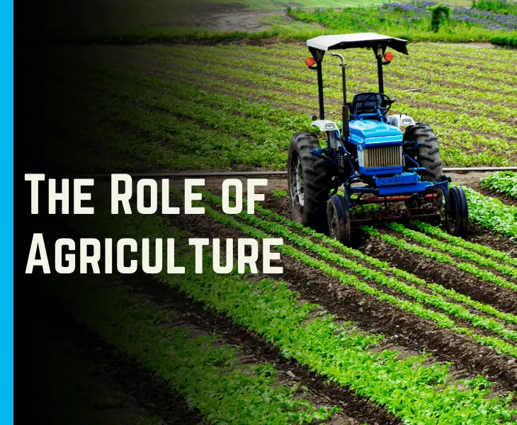 the role of agriculture