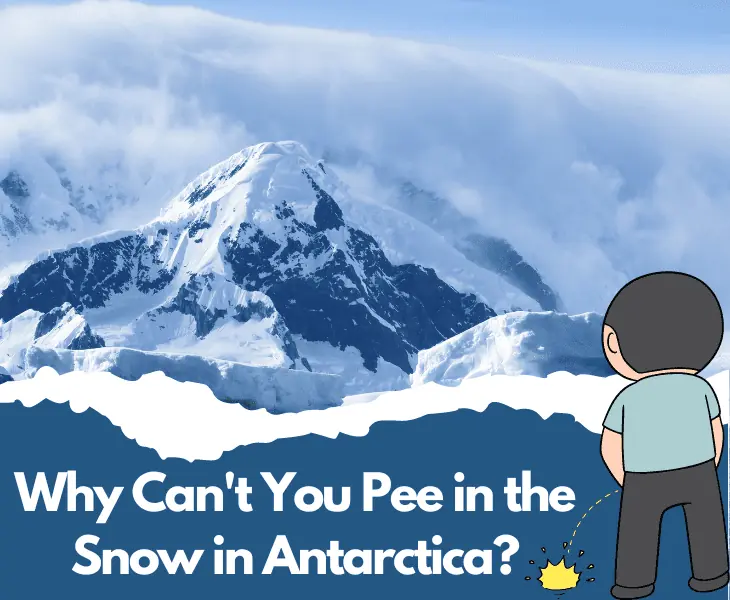 why can't you pee in the snow in antarctica