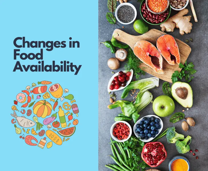 changes in food availability