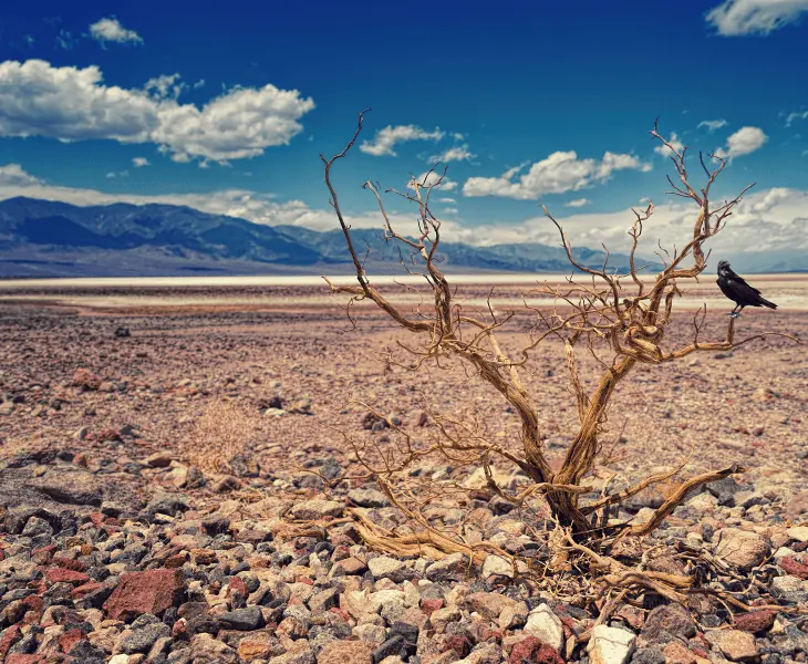 climate change's role in causing drought