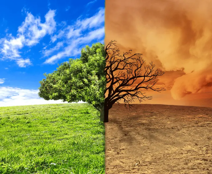 impact of climate change