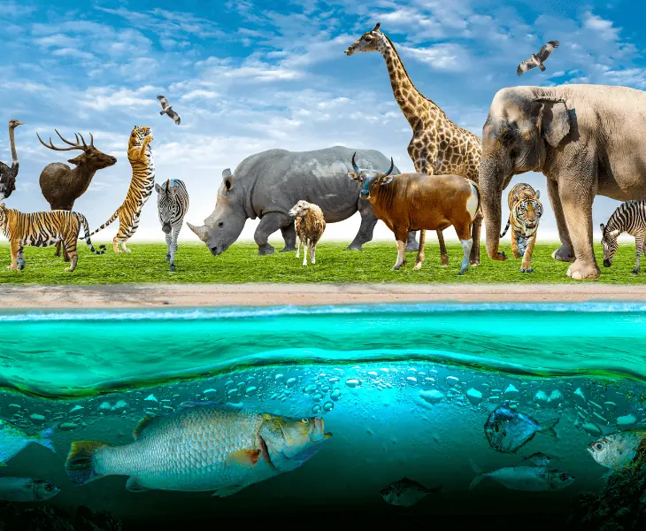 impact of climate change on wildlife