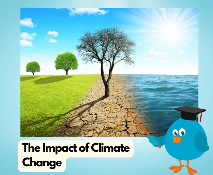 the impact of climate change