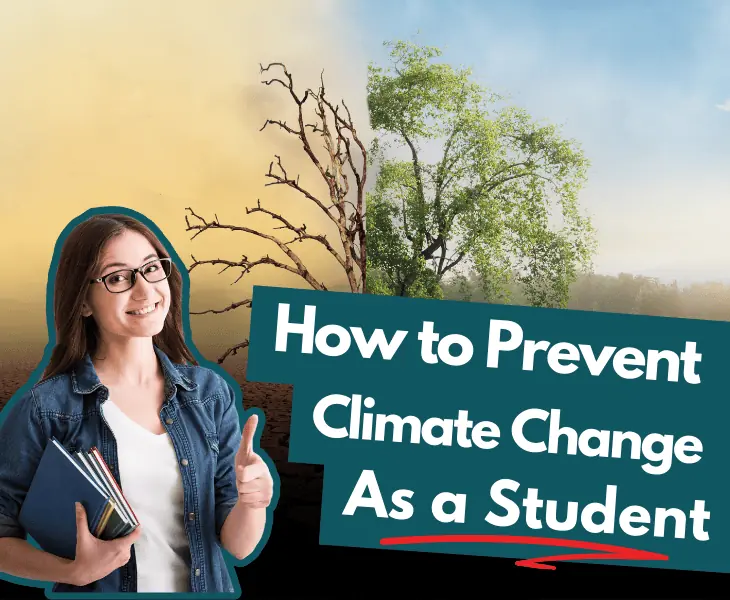 how to prevent climate change as a student