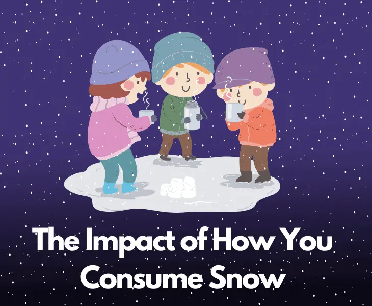 the impact of how you consume snow