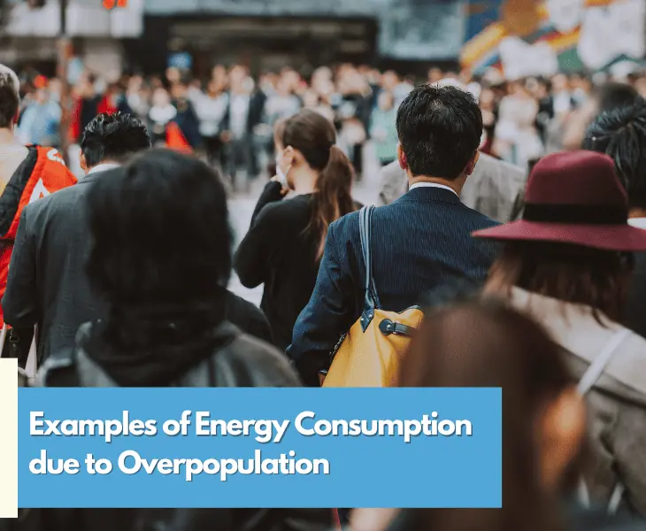 examples of energy consumption due to overpopulation