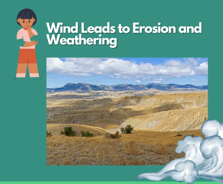wind leads to erosion and weathering
