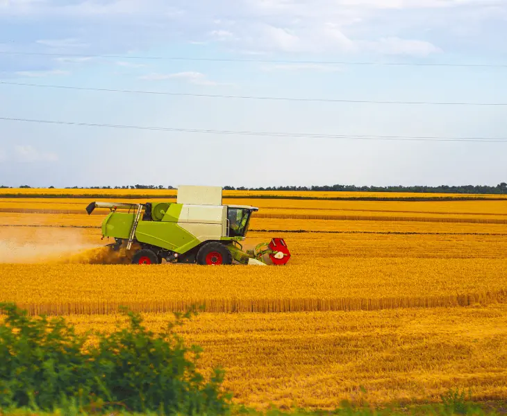 agricultural expansion