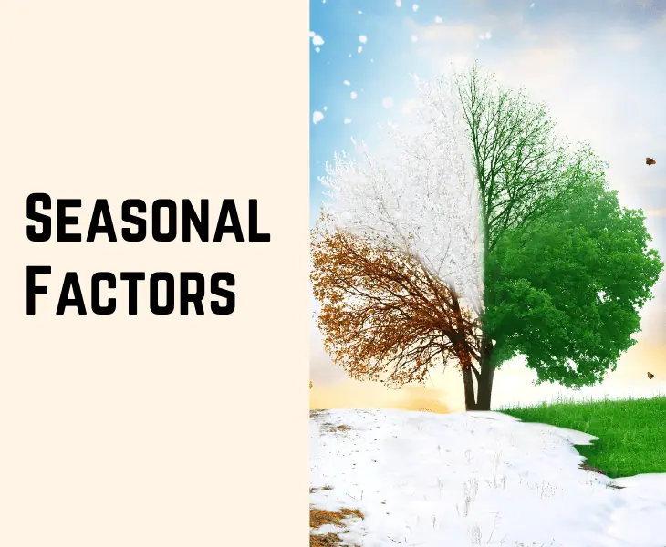 seasonal factors