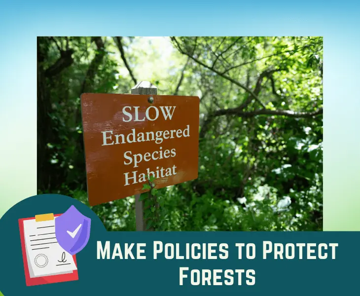 make policies to protect forests