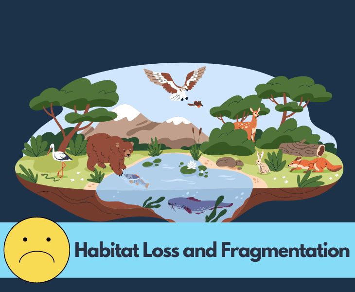 habitat loss and fragmentation