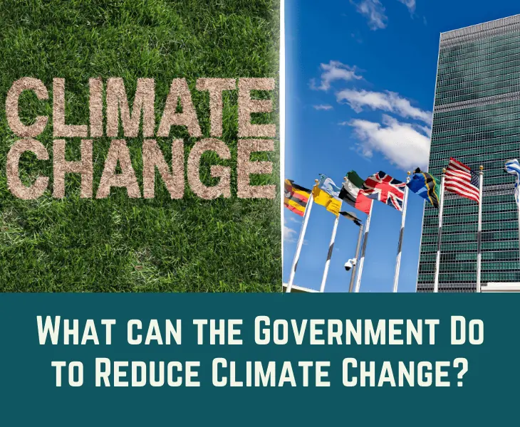 what can the government do to reduce climate change