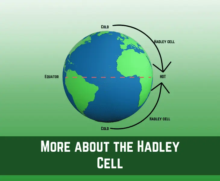 more about the hadley cell