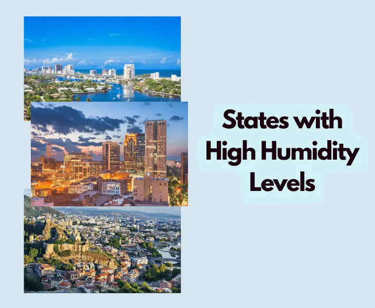 states with high humidity levels