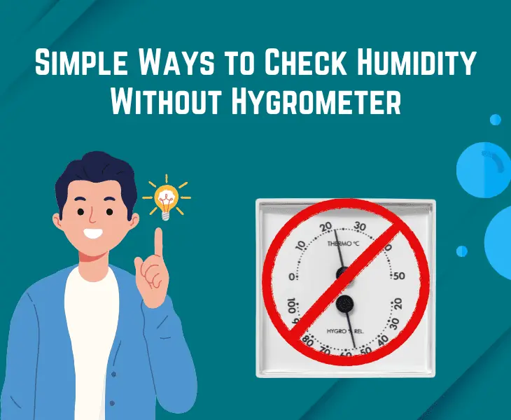 simple ways to check humidity without hygrometer
