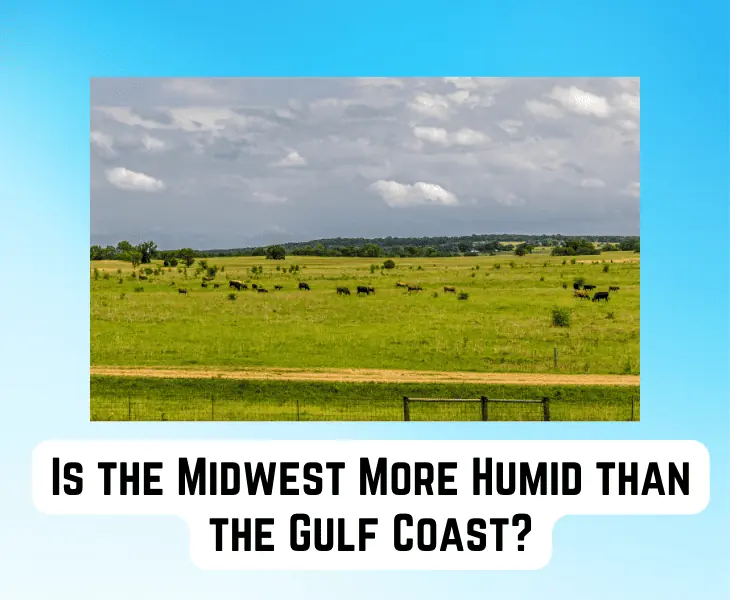 midwest vs. gulf coast humidity comparison