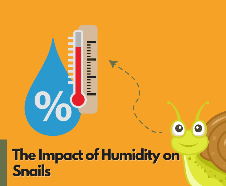 the impact of humidity on snails